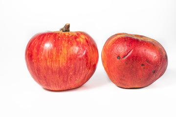 A healthy, shiny apple and an old apple, symbolizing the passing of the time and the difference in age.