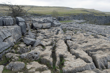 Limestone causeway at the top of Malham Cove, Malhamdale, Yorkshire Dales