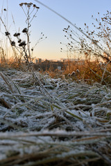 first snow on the grass in the mountains