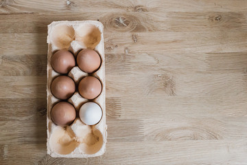 groups of eggs inside the eggshell