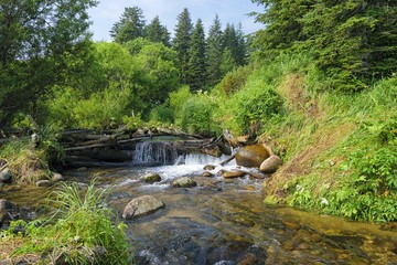 Waterfall on the taiga spawning river. Pink salmon stream (  Gorbushechny stream ), Okhotsk sea coast. Khabarovsk region, far East, Russia.