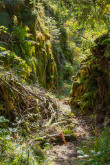 around Vologne river