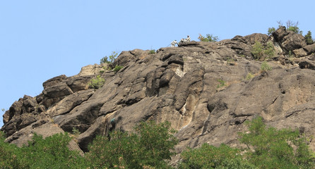A group of four young people  top on the rocks