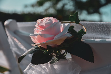 wedding roses decoration