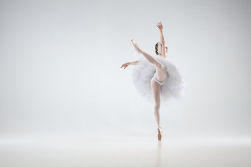 Winter alive. Young graceful classic ballerina dancing on white studio background. Woman in tender clothes like a white swan. The grace, artist, movement, action and motion concept. Looks weightless.