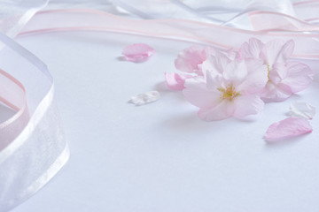 桜の花　リボン