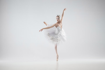Naklejka na ściany i meble Winter alive. Young graceful classic ballerina dancing on white studio background. Woman in tender clothes like a white swan. The grace, artist, movement, action and motion concept. Looks weightless.