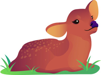 Vector illustration of a fawn deer on the grass