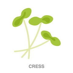 cress flat icon on white transparent background. You can be used black ant icon for several purposes.	