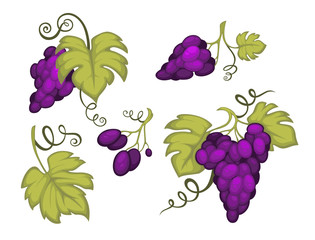 Grapes bunches with leaves isolated icons, berries clusters