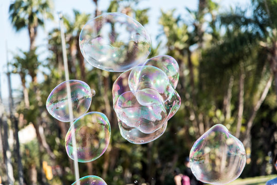 Soap bubbles in Plaza de la Marina de Malaga