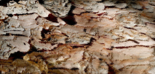 Tree wooden surface background texture