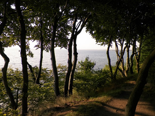 Beautiful view of Baltc Sea from park in Gdynia, Poland.