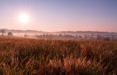 sunlight and fog in Phu Khieo Wildlife Sanctuary
