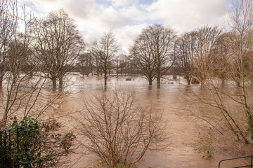 Flooded trees in the city of Hereford, England.