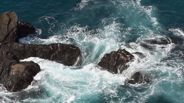 Northern gannets (Morus bassanus) soaring over waves crashing on rocks of sea cliff in spring, Shetland Islands, Scotland, UK