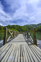Fototapeta premium Borcka Karagol ( Black Lake ) in Artvin Province of Turkey 