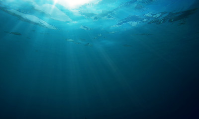 Fototapeta na wymiar Sunshine shining in the Underwater sea Summer background concept