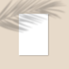 Shadow Overlay Palm Leaf Vector Mockup A4 Paper sheets. Vector Transparent shadow of tropical leaves