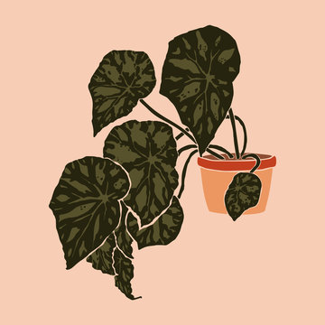 green leaves plant in orange pot clip art preview