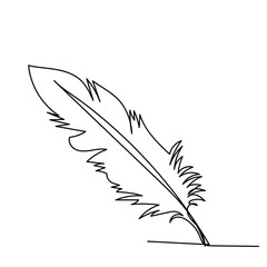 Obraz premium isolated, single line drawing of bird feather