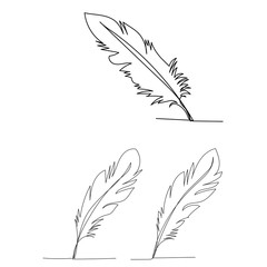  isolated, single line drawing of bird feather