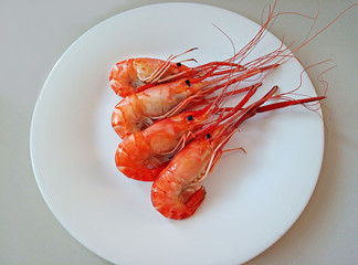shrimps on a white plate in a minimalist style