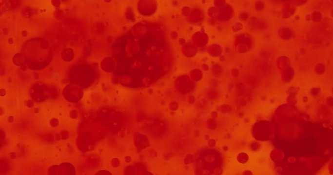 Small red blood cells in fluid