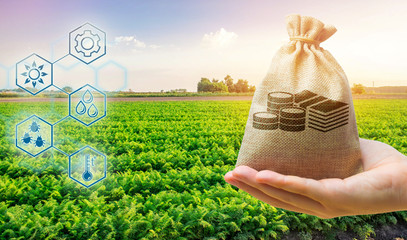 Money bag on the background of agricultural crops in the hand of the farmer. Agricultural startups. Profit from agribusiness. Development of innovation and research agriculture. Investing in farming.