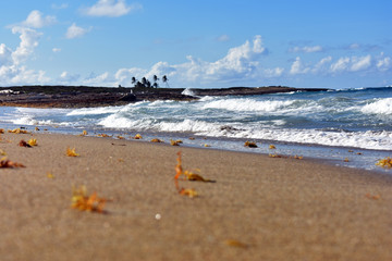 deserted sandy beach. Dominican Republic