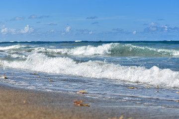 deserted sandy beach. Dominican Republic