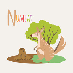 Numbat. Book of animals. Letter N