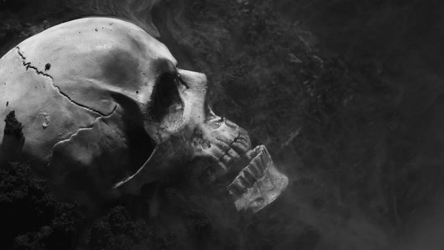 Human skull on the wet soild with smoke flowing
