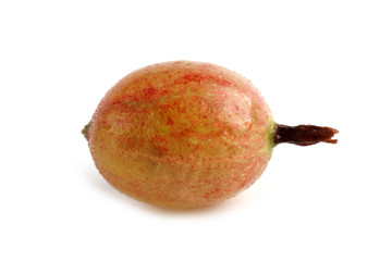 Pink gooseberry isolated on white