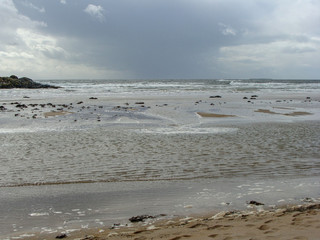 landscape with ocean shore in summer