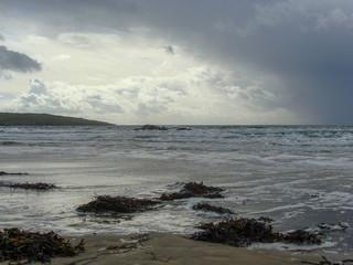 landscape with ocean shore in summer
