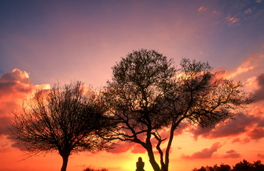 Fototapeta na wymiar Sunset silhouette of a woman sitting between two winter trees