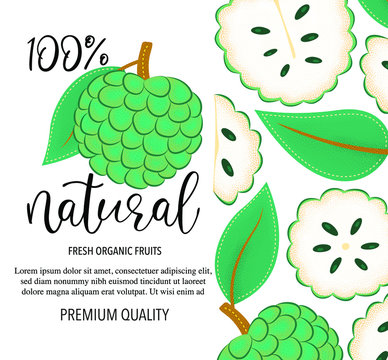 Background with Sugar apple or Soursop, whole and pieces. Vector stock illustration isolated on white background. Card design with fruits. Product information and lettering "100% natural"
