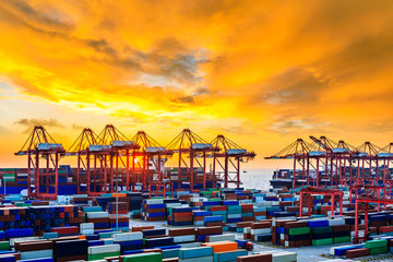 Fototapeta na wymiar Industrial port container freight terminal at beautiful sunset in Shanghai,China.