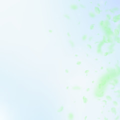 Green flower petals falling down. Mind-blowing rom