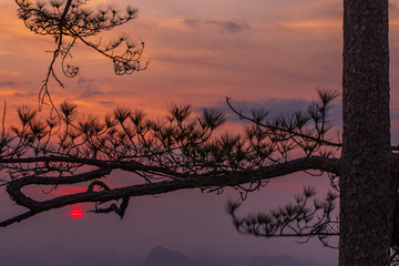 Beautiful sunrise  on the high mountain in Phu-kra-dueng national park Loei province, Thailand.