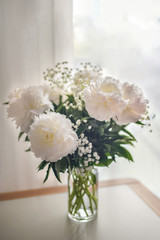 White peonies flowers with Gypsophila in vase on white background
