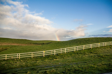 Moher cliffs