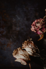 Trauer, Traurigkeit, Verlust -  verwelkte Rosen auf verrosteten Blech als Hintergrund  mit Tropfen
