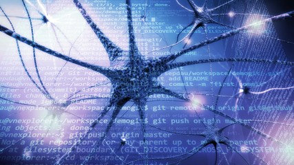 Conjugation of neural nerves of the human brain