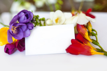 Freesia flowers and blank postcard on white
