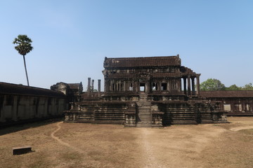 Dry brown grass and sand leading to beautiful ancient temple in angkor wat, tropical palm tree, pillars