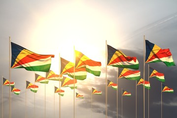 pretty memorial day flag 3d illustration. - many Seychelles flags in a row on sunset with free place for your content