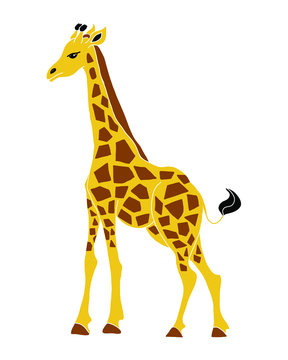 Giraffe vector illustration, cartoon style, print for baby and kid products design