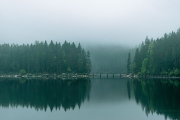 Moody forest reflections at lake Eibsee during blue hour